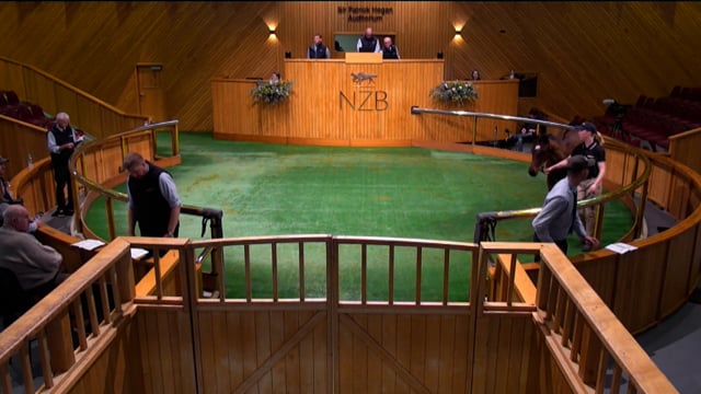 2026 National Weanling Sale, Lot 109 - Lot 121