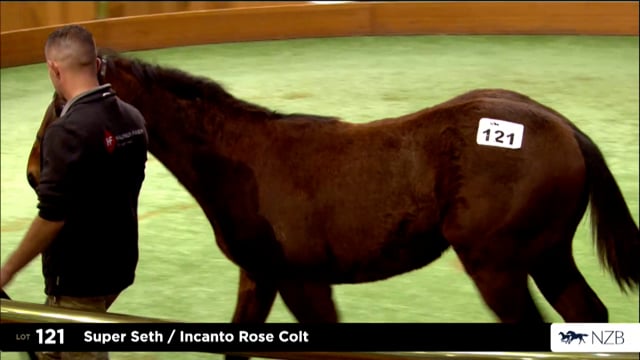 2026 National Weanling Sale, Lot 121 - Lot 135
