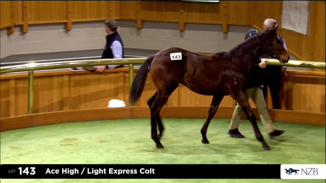 2026 National Weanling Sale, Lot 143 - End of Day