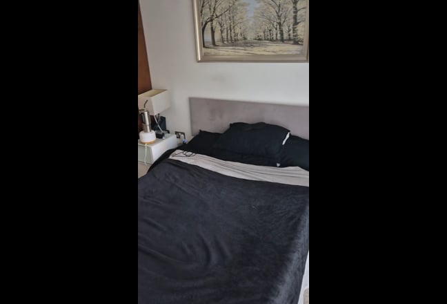 Ensuite Room Canary Wharf in a 2 Bedroom flat Main Photo