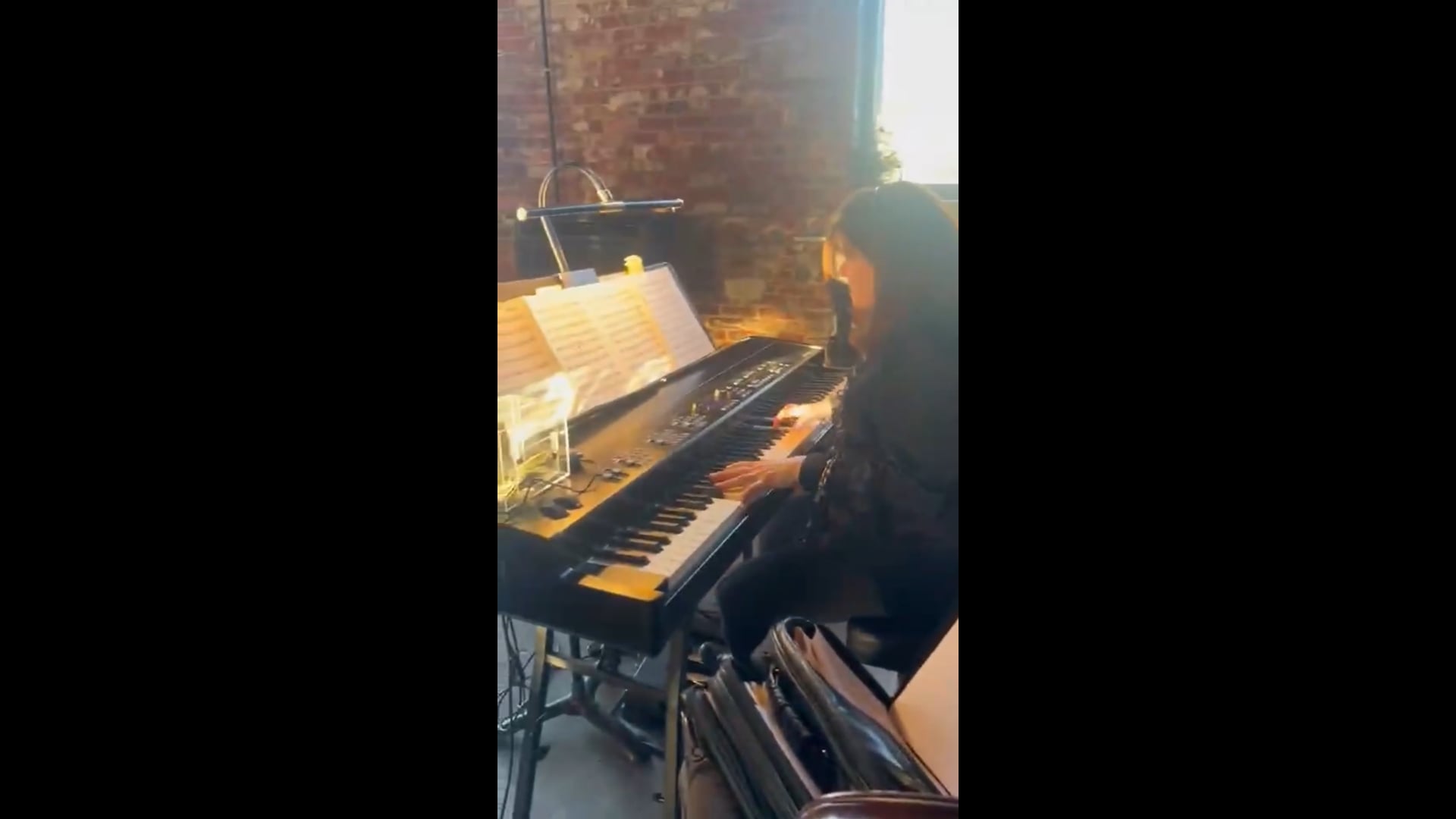 Promotional video thumbnail 3 for The Piano Muse