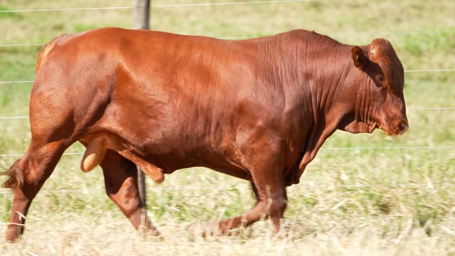 Lote 05