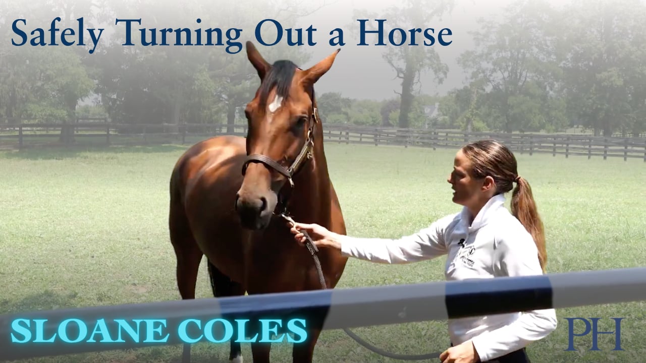 Safely Turning Out a Horse | Sloane Coles
