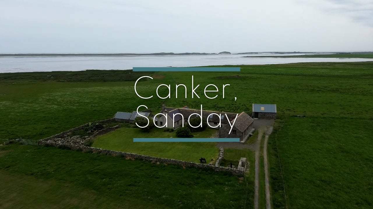 Canker