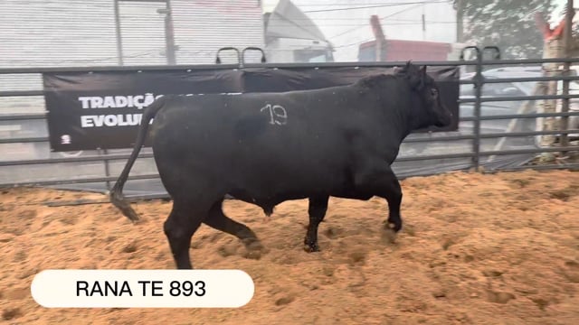 Lote 02
