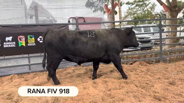 Lote 03