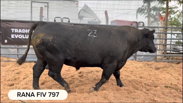 Lote 01