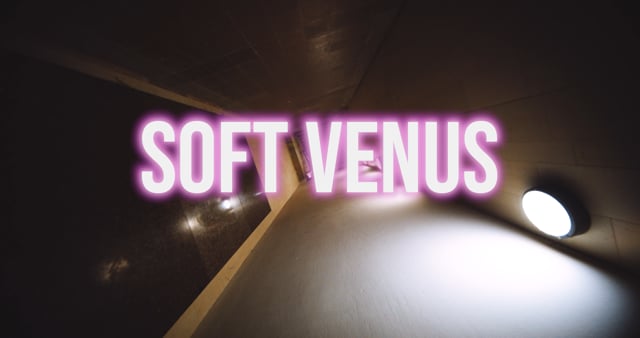 Soft Venus - Polizei, Dato Alaplaya