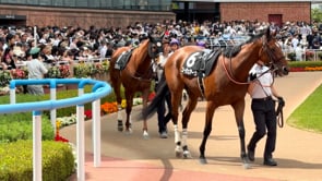 動画サムネイル