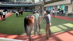 動画サムネイル