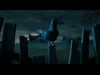 Shaun the Sheep: The Beast of Mossy Bottom