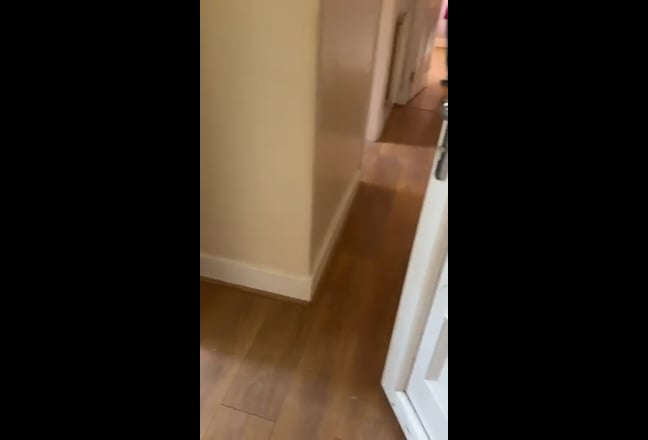 Video 1: 