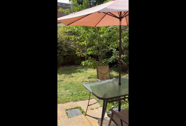 Ravenscourt Park Main Photo