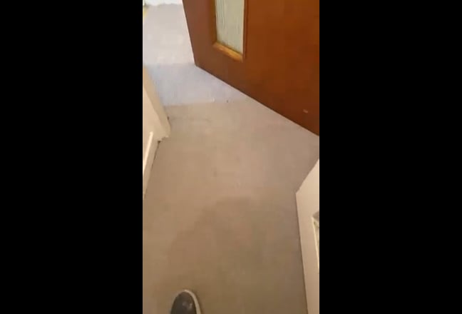 Video 1: 