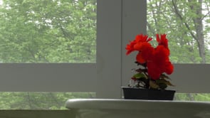 THE VIDEO EXPERIENCE______ beyond the screen, beyond the finished, beyond mere perception.