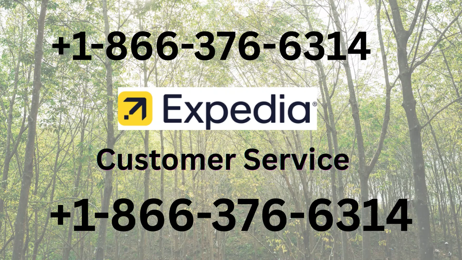 Expedia USA Customer Service: Your Full 24/7 Live Person Support and Contact step by step Guide
