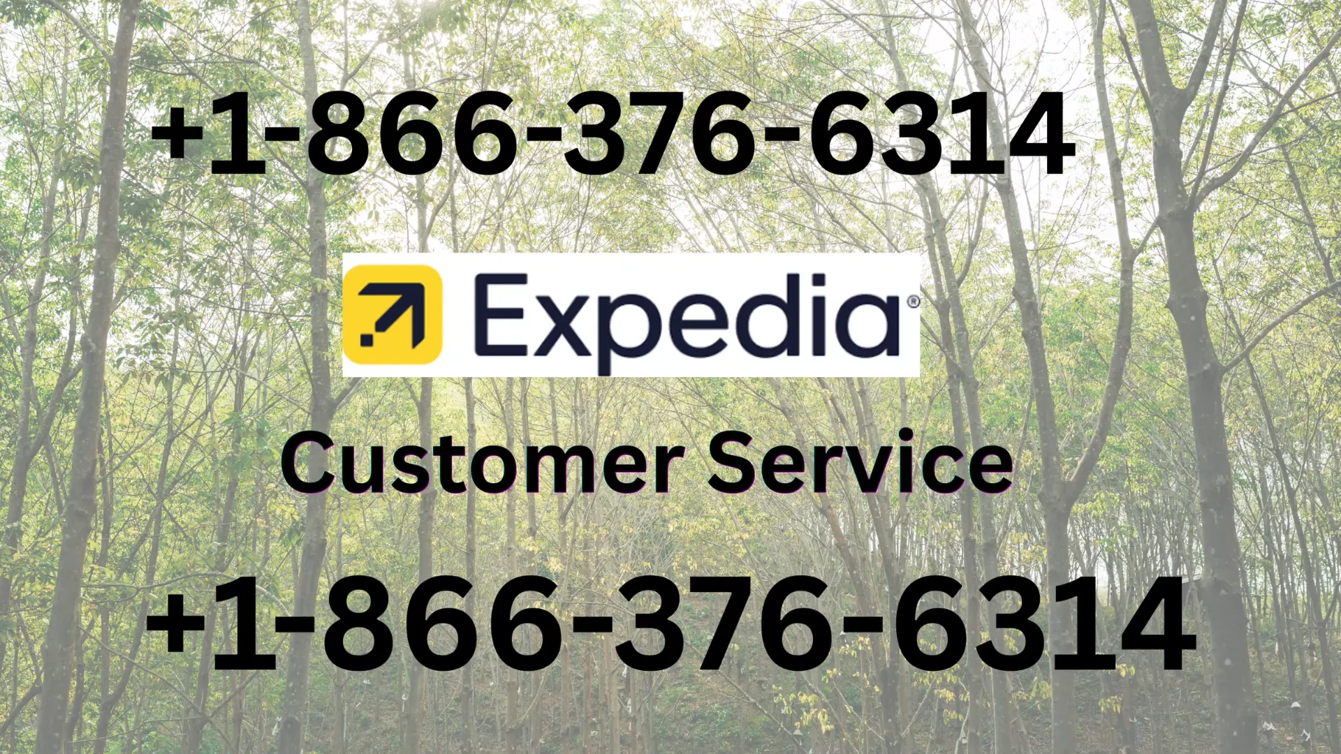Expedia USA Customer Service: Your Full 24/7 Live Person Support and Contact step by step Guide
