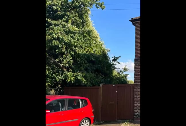 Spacious two-bedroom first floor flat with garden Main Photo