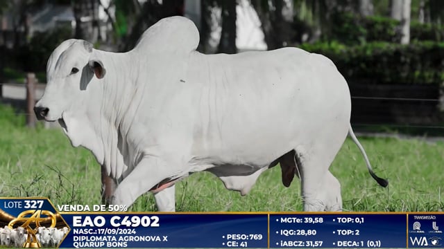 Lote 327