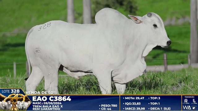 Lote 328