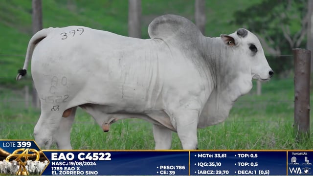 Lote 399