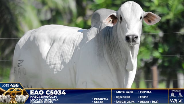 Loe 456