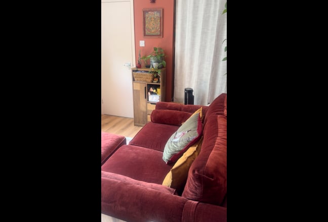 Bright, cute studio flat available in Walthamstow  Main Photo