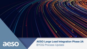 Large Load Integration Phase 2A: BYOG Process Update - June 24, 2026