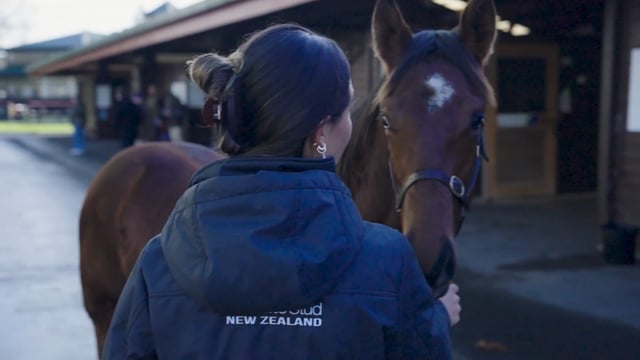 2026 National Weanling Sale | Sale Day Recap