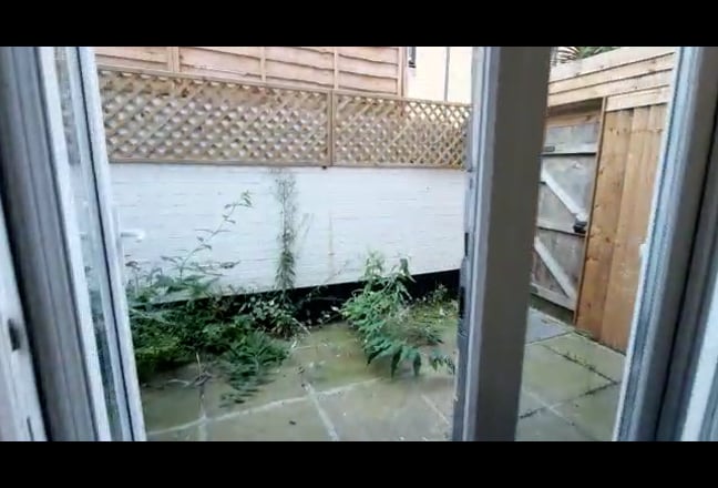 Video 1: 