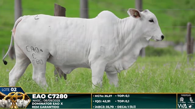 Lote 02
