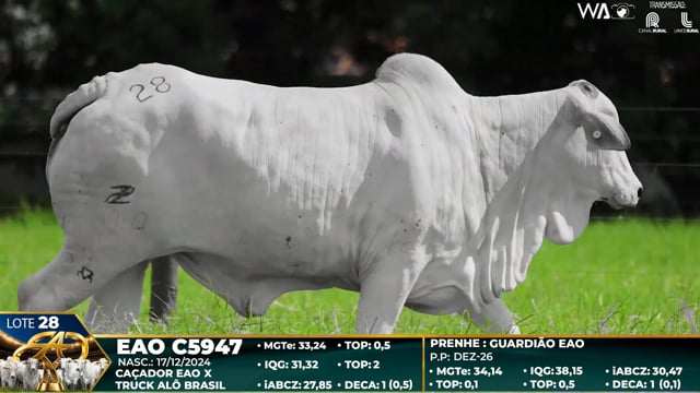 Lote 28