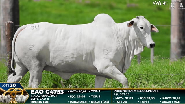 Lote 30