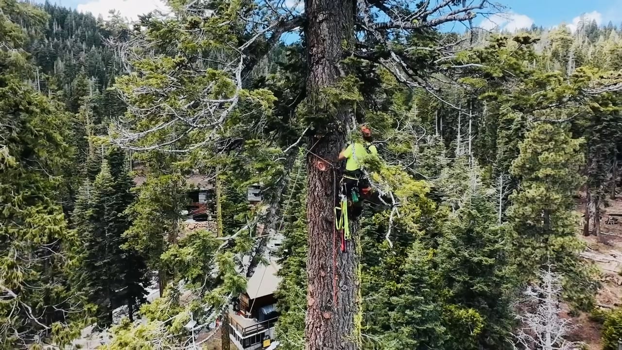 https://i.vimeocdn.com/video/2174517870-5bfb5edff45b911837b0778b7e07ab40c2a8ea0987d4151dd162db43c9f65071-d