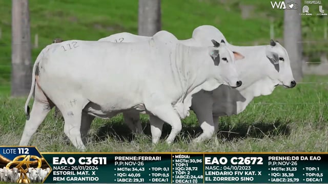 Lote 112