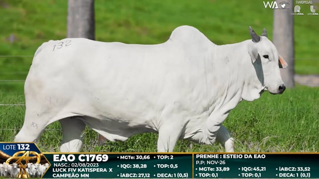Lote 132