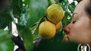 Short of the Week
