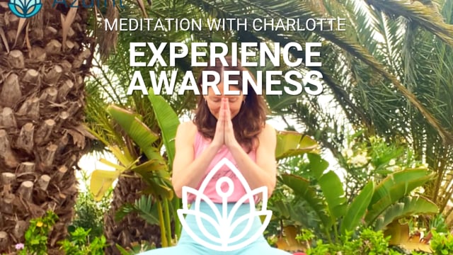 NEW! Meditation - Experience Awareness