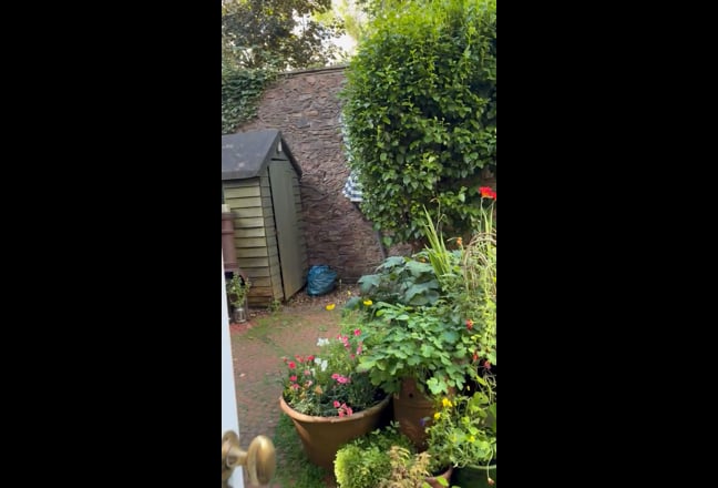 Video 1: 