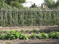 L'Ajuntament posa la base per un projecte d'horts comunitaris