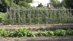 L'Ajuntament posa la base per un projecte d'horts comunitaris