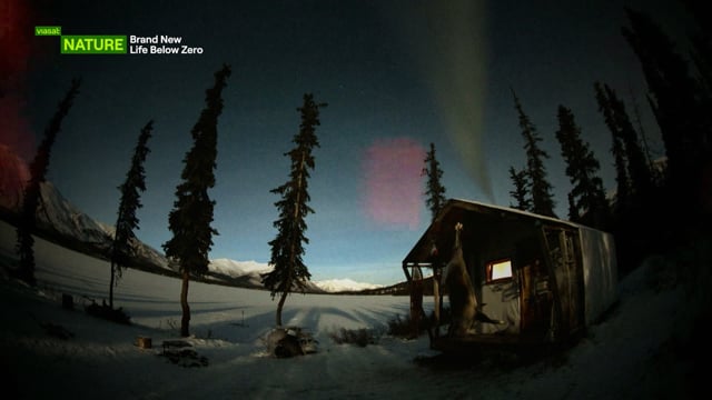 Life Below Zero