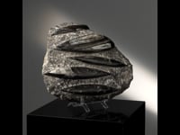 Astro West - Genuine Belemnite and Ortheceras Fossil Sculpture AWFOSS539 Video
