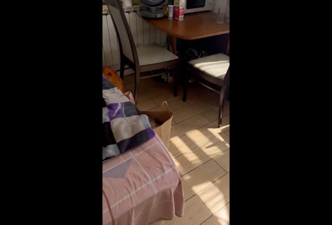 Video 1: 