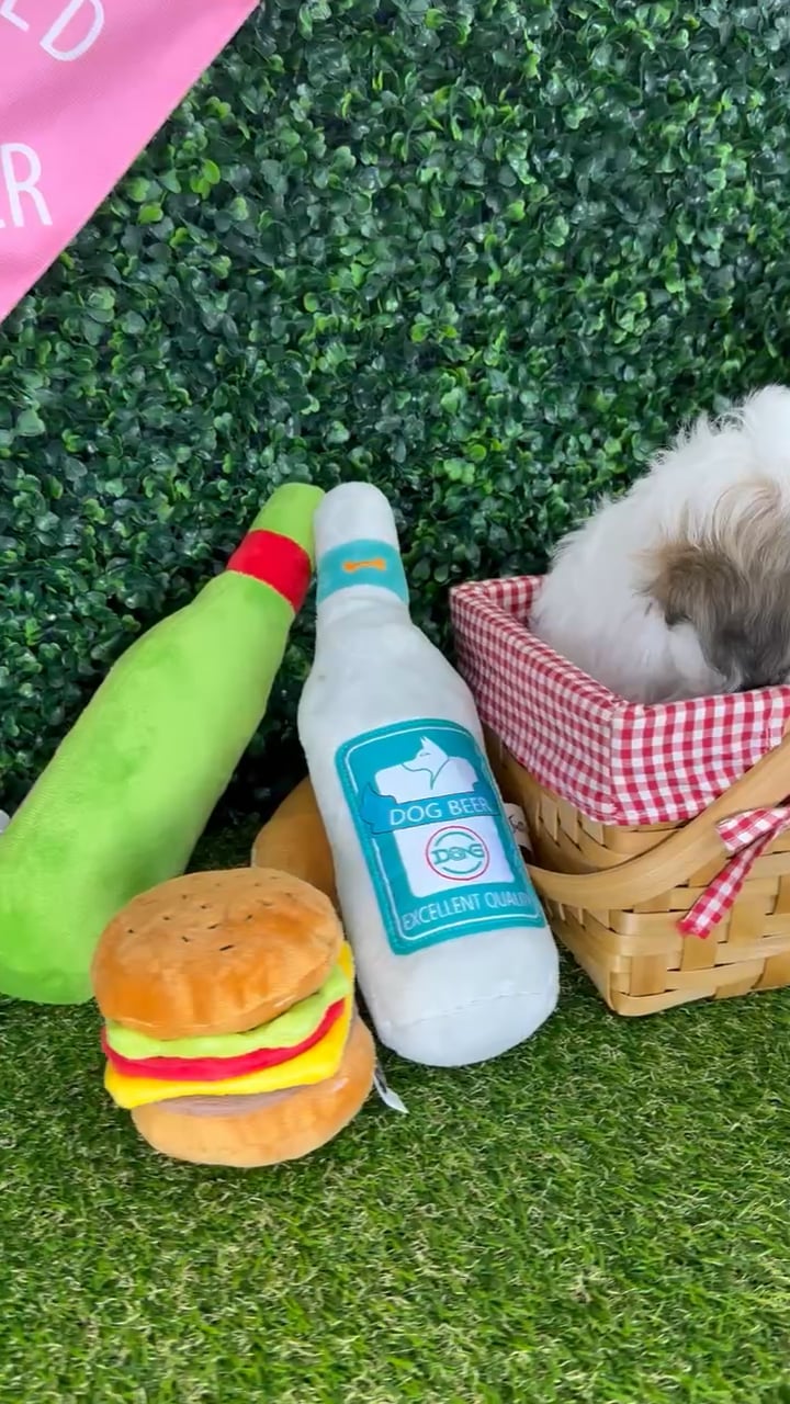 Male Teddy Bear puppy named Cody for sale at Puppy Dreams - Missouri City. video thumbnail