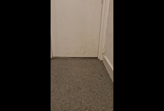 Large Room near Brighton Station Main Photo