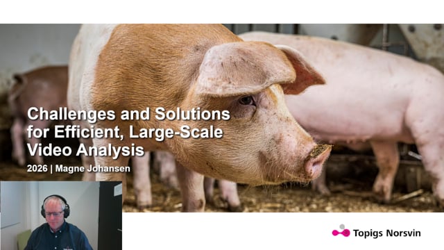 Challenges and Solutions for Efficient, Large-Scale Video Analysis