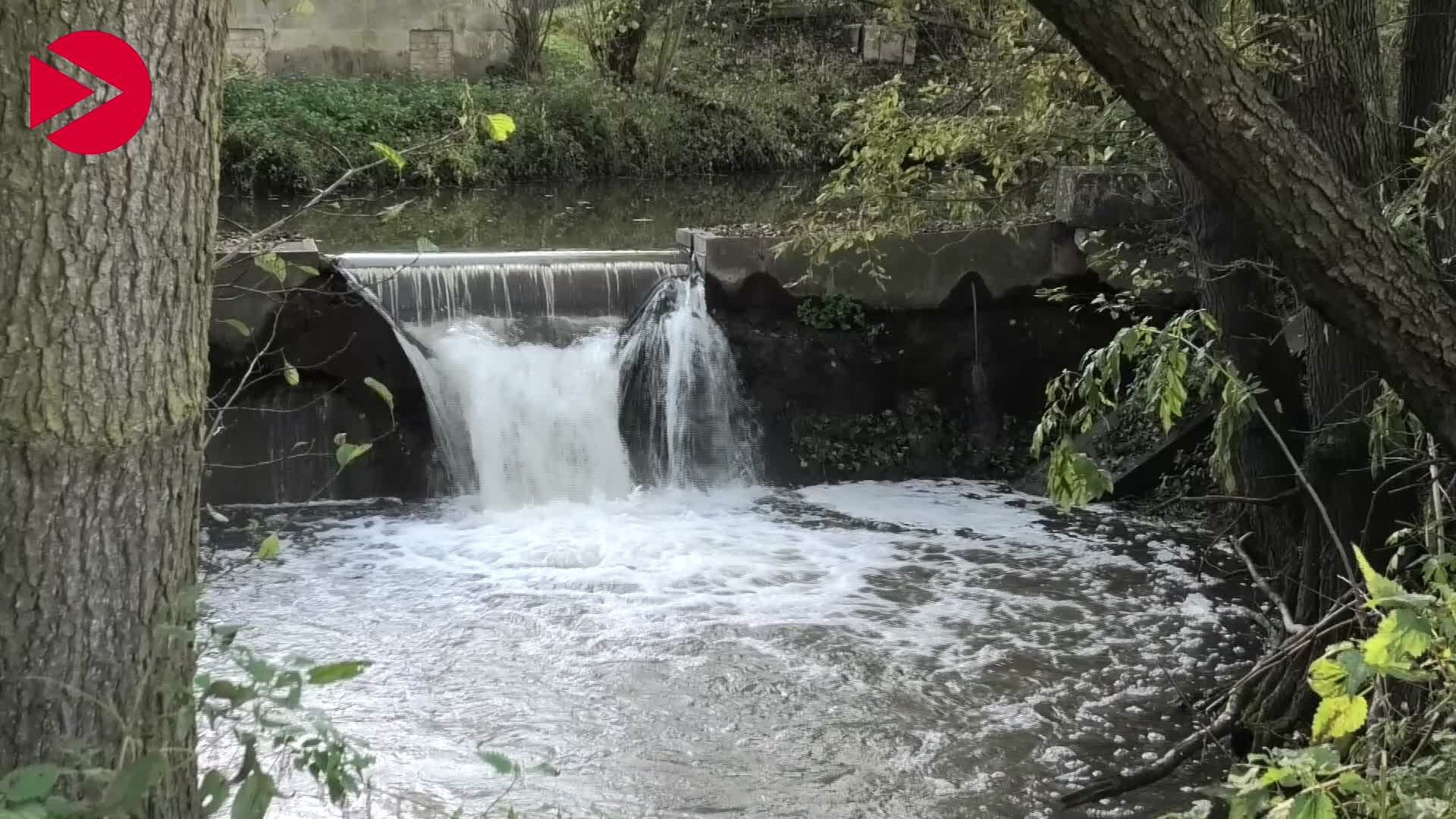 Video Vorschaubild Die mittlere Aurach - Von der Quelle bis zur Mündung