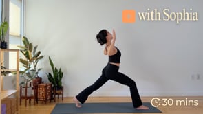 Related Embedded Video Item Thumbnail