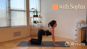 Related Embedded Video Item Thumbnail
